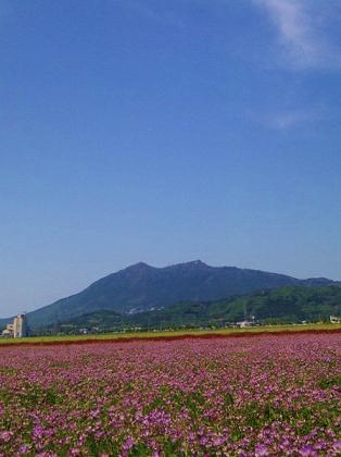 筑波山と花.jpg